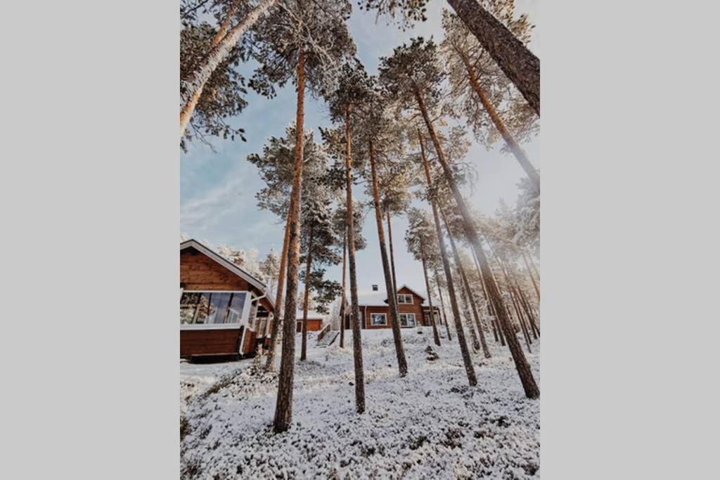 Autumn Leaf Ivalo Villa Екстериор снимка